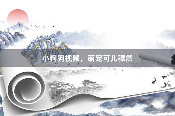 小狗狗视频，萌宠可儿骤然